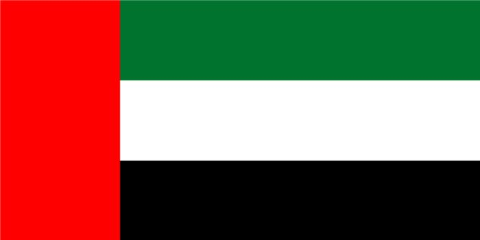 DrapeauDubai